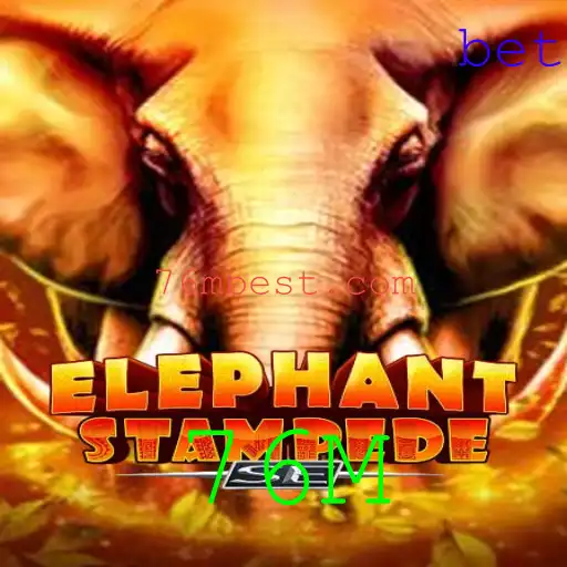 Descubra o Fascinante Mundo de ElephantStampedeSE